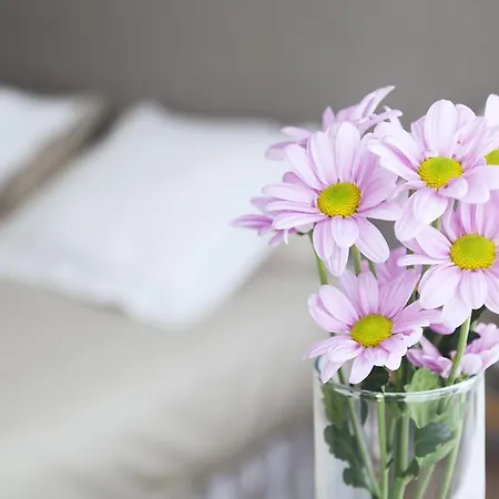 Apartament Victoria Site-Luxury Center Walencja Zewnętrze zdjęcie